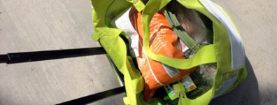 green rolling market bag filled with delicious groceries from Trader Joe's